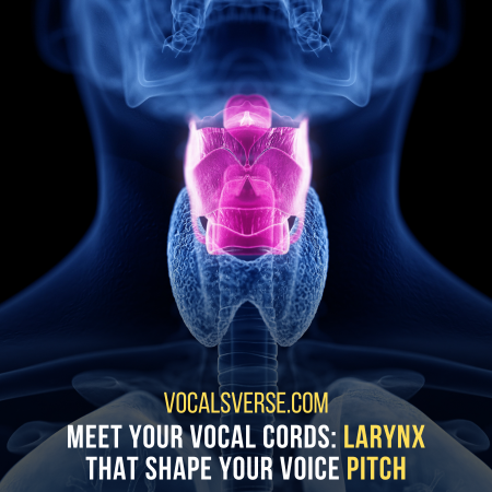 What Determines Voice Pitch: Meet Larynx