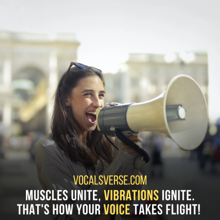 Muscles unite and vibrate, giving birth to sound waves