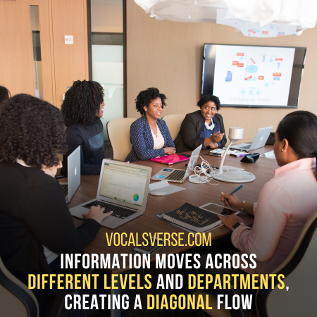 Flow of information across different levels and departments.