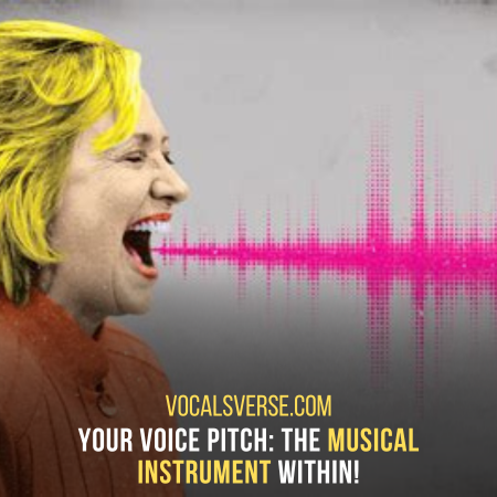 What is voice pitch? Its highs and lows of voice